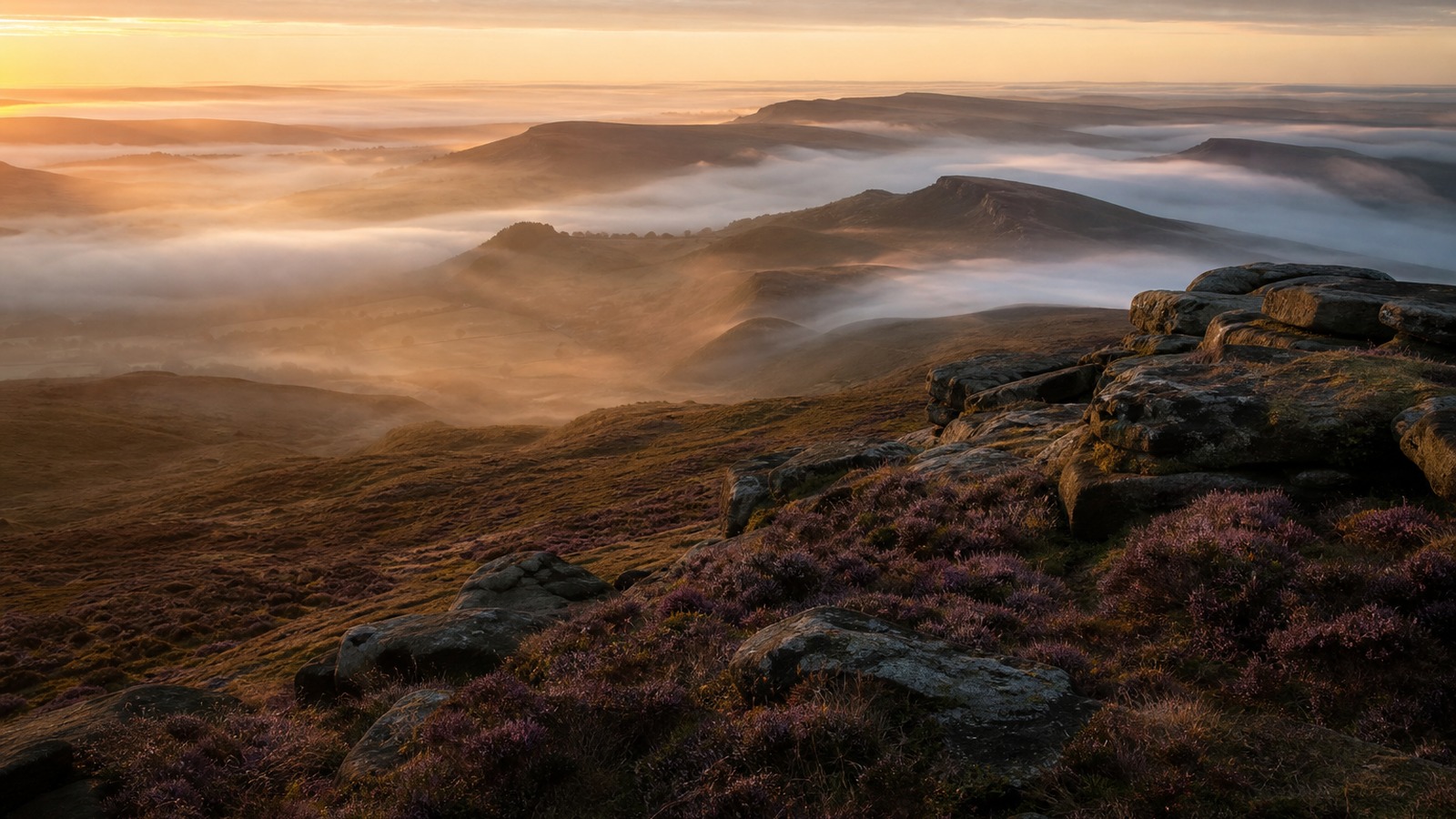 Misty Peak District ridgeline at dawn with heather and soft golden light.