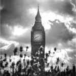 Black and white photograph of Big Ben through wildflowers