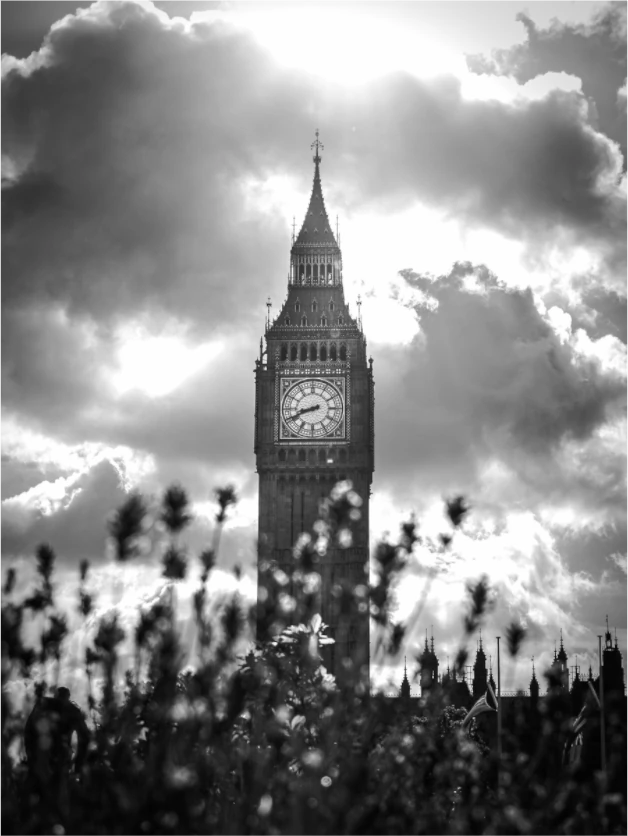 Black and white photograph of Big Ben through wildflowers